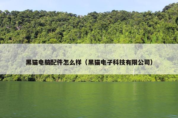 黑猫电脑配件怎么样（黑猫电子科技有限公司）