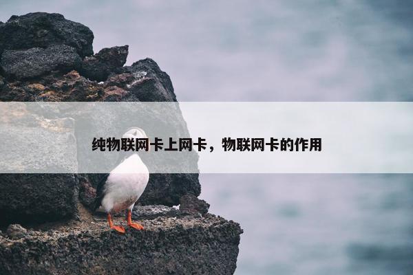 纯物联网卡上网卡，物联网卡的作用