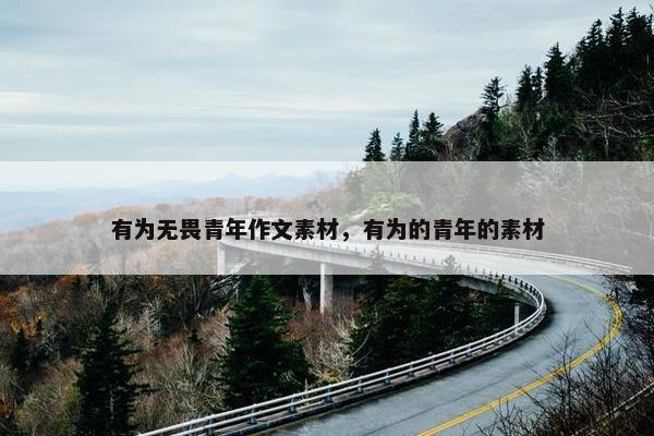 有为无畏青年作文素材，有为的青年的素材
