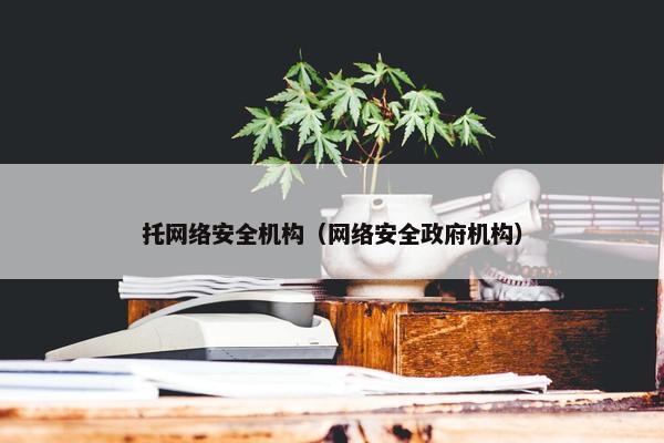 托网络安全机构（网络安全政府机构）