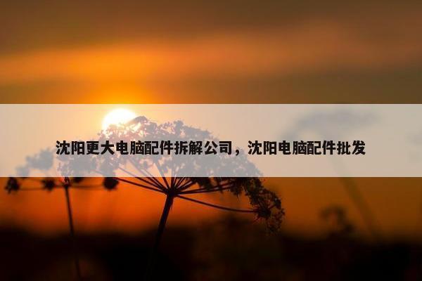 沈阳更大电脑配件拆解公司，沈阳电脑配件批发