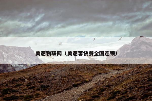 美速物联网（美速客快餐全国连锁）