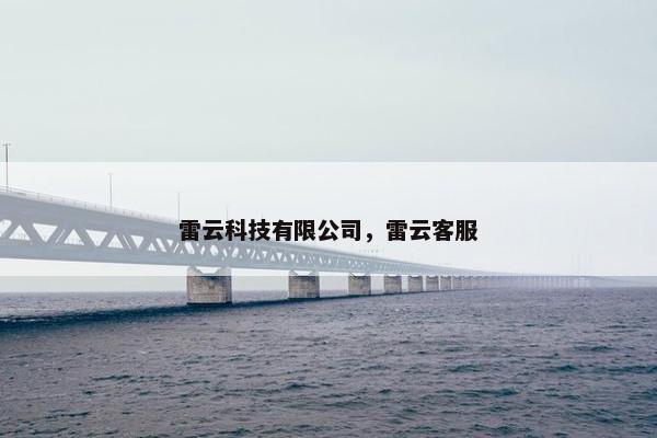 雷云科技有限公司，雷云客服