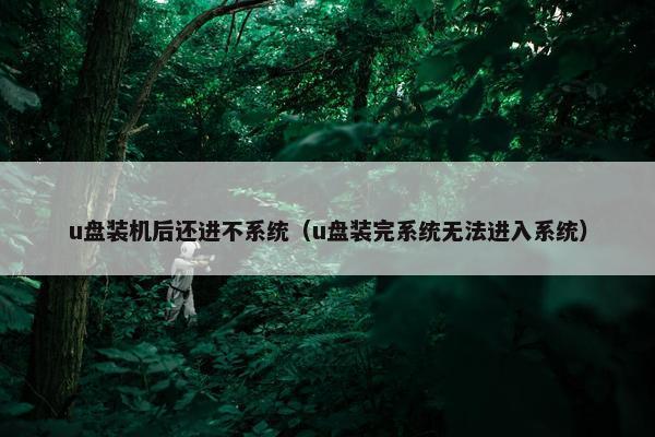 u盘装机后还进不系统（u盘装完系统无法进入系统）