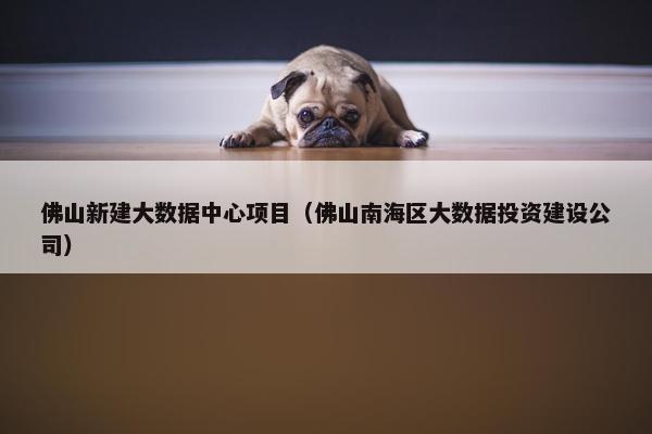 佛山新建大数据中心项目（佛山南海区大数据投资建设公司）