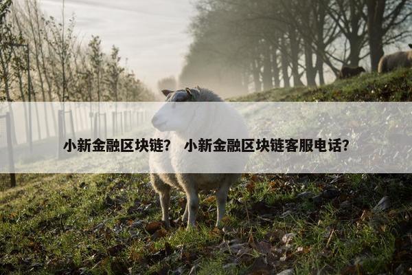 小新金融区块链？ 小新金融区块链客服电话？