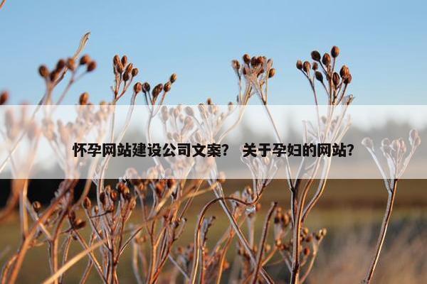 怀孕网站建设公司文案？ 关于孕妇的网站？