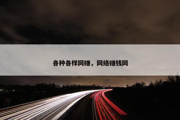 各种各样网赚，网络赚钱网