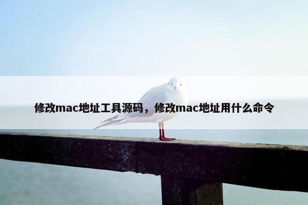 修改mac地址工具源码，修改mac地址用什么命令