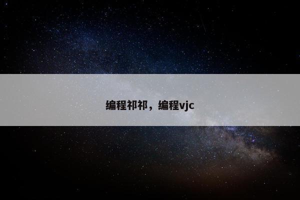 编程祁祁，编程vjc