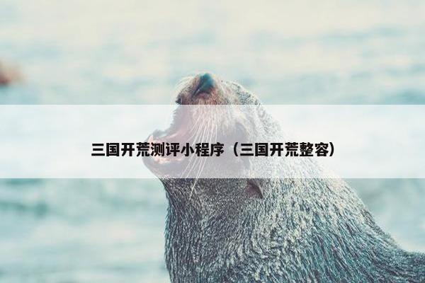三国开荒测评小程序（三国开荒整容）