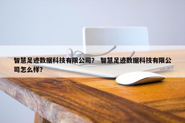 智慧足迹数据科技有限公司？ 智慧足迹数据科技有限公司怎么样？