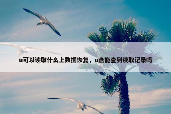 u可以读取什么上数据恢复，u盘能查到读取记录吗
