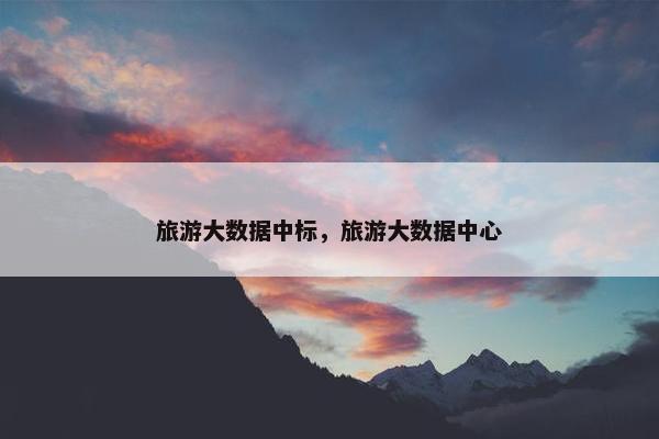 旅游大数据中标，旅游大数据中心