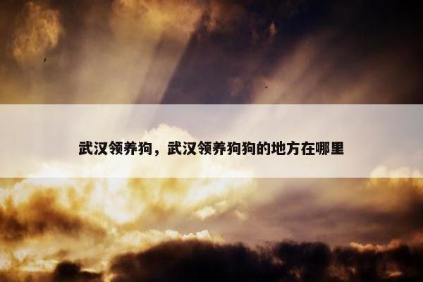 武汉领养狗，武汉领养狗狗的地方在哪里