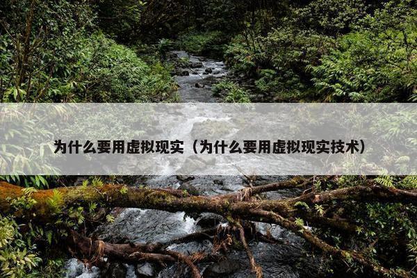 为什么要用虚拟现实（为什么要用虚拟现实技术）
