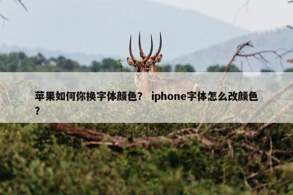 苹果如何你换字体颜色？ iphone字体怎么改颜色？