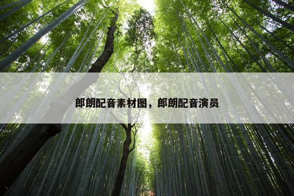 郎朗配音素材图，郎朗配音演员
