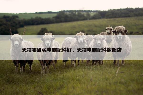 天猫哪里买电脑配件好，天猫电脑配件旗舰店