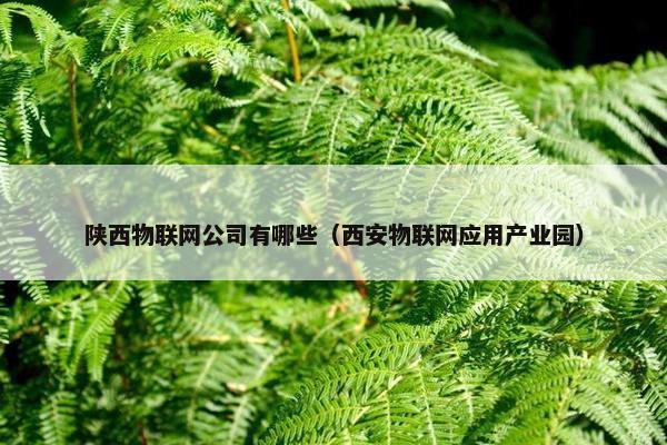 陕西物联网公司有哪些（西安物联网应用产业园）