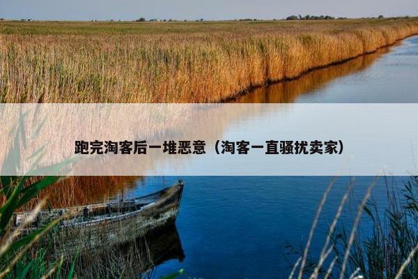 跑完淘客后一堆恶意（淘客一直骚扰卖家）