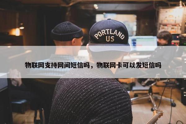 物联网支持网间短信吗，物联网卡可以发短信吗