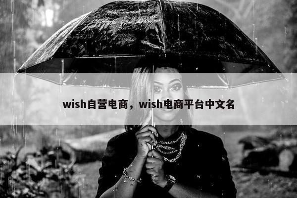 wish自营电商，wish电商平台中文名