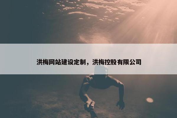 洪梅网站建设定制，洪梅控股有限公司