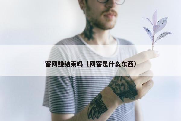 客网赚结束吗（网客是什么东西）