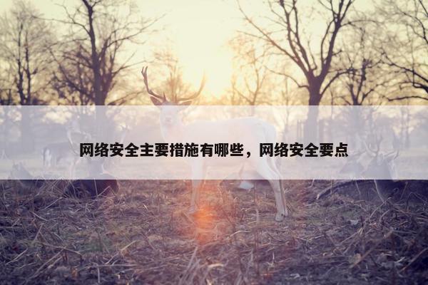 网络安全主要措施有哪些，网络安全要点