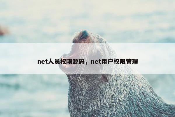 net人员权限源码，net用户权限管理