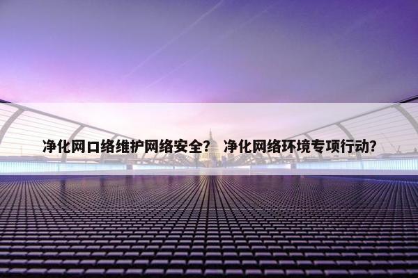 净化网口络维护网络安全？ 净化网络环境专项行动？