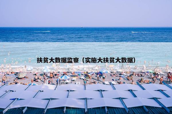 扶贫大数据监察（实施大扶贫大数据）
