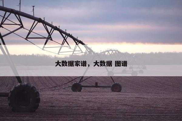 大数据家谱，大数据 图谱