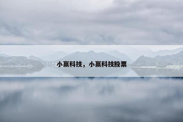 小赢科技，小赢科技股票