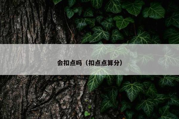 会扣点吗（扣点点算分）