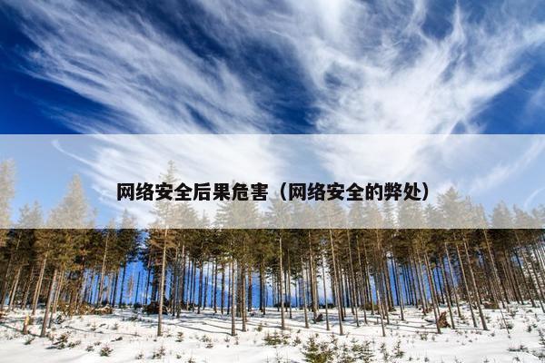 网络安全后果危害（网络安全的弊处）
