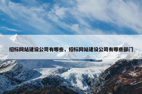 招标网站建设公司有哪些，招标网站建设公司有哪些部门