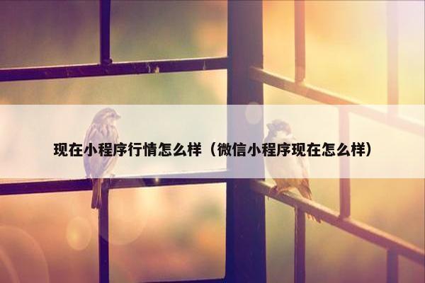 现在小程序行情怎么样（微信小程序现在怎么样）