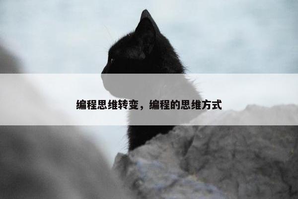 编程思维转变，编程的思维方式