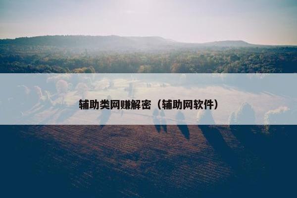 辅助类网赚解密（辅助网软件）