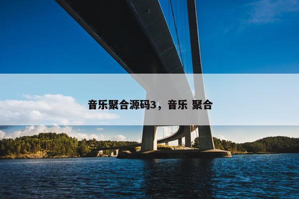 音乐聚合源码3，音乐 聚合