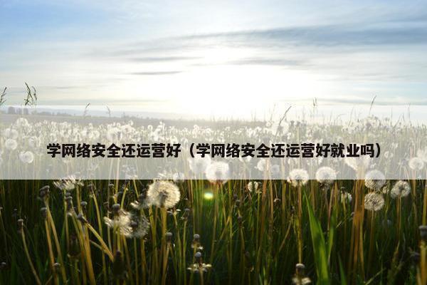 学网络安全还运营好（学网络安全还运营好就业吗）