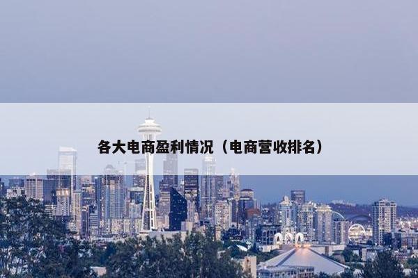 各大电商盈利情况（电商营收排名）