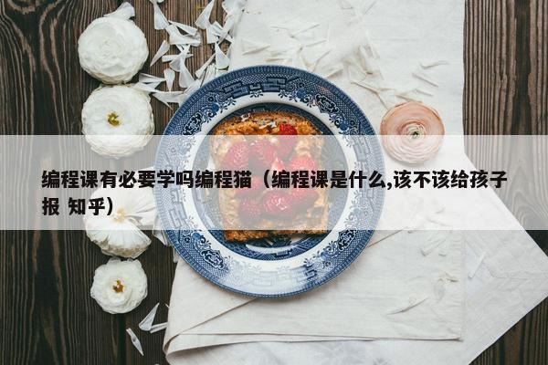 编程课有必要学吗编程猫（编程课是什么,该不该给孩子报 知乎）