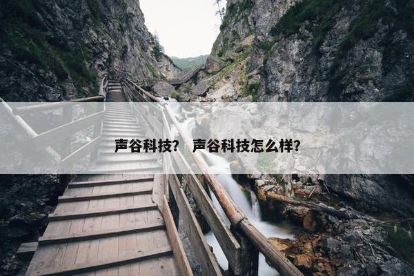 声谷科技？ 声谷科技怎么样？