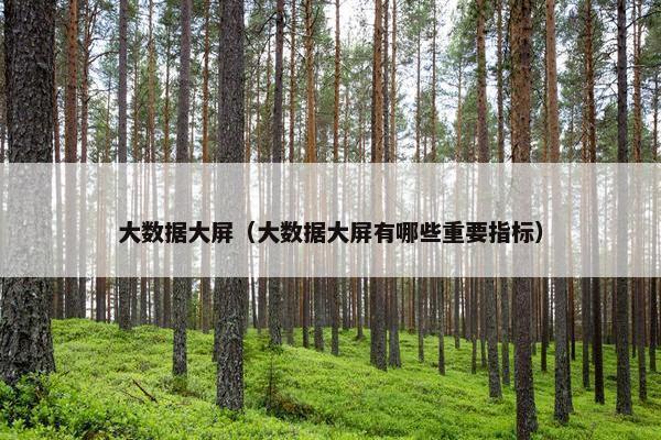 大数据大屏（大数据大屏有哪些重要指标）
