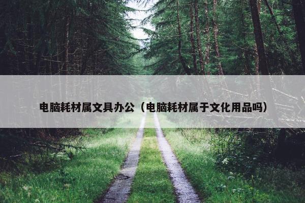 电脑耗材属文具办公（电脑耗材属于文化用品吗）