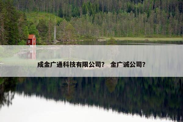 成金广通科技有限公司？ 金广诚公司？