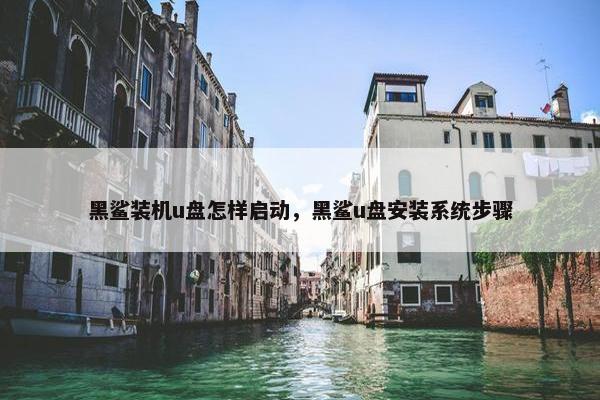 黑鲨装机u盘怎样启动，黑鲨u盘安装系统步骤
